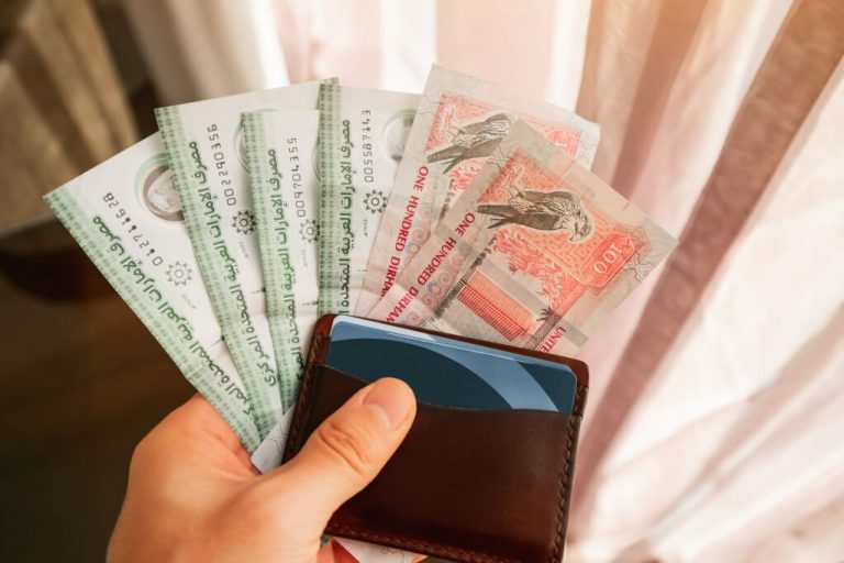 how to pay vat in uae