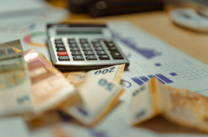 Transfer Pricing Disclosure